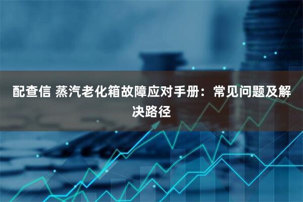 配查信 蒸汽老化箱故障应对手册：常见问题及解决路径